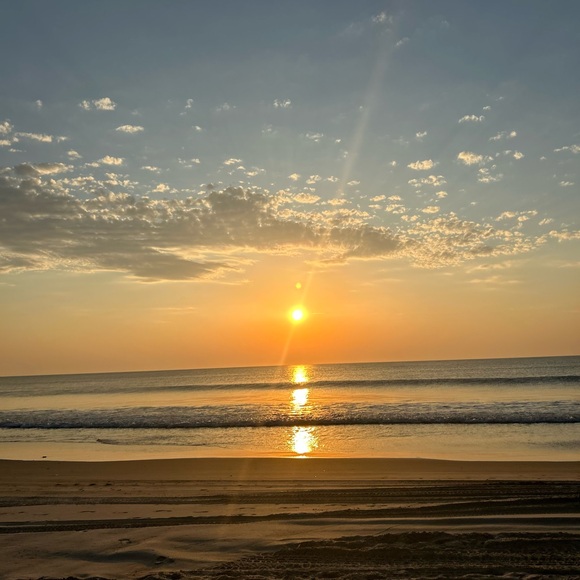 Meet your Posher, Jane - Picture 1 of 1